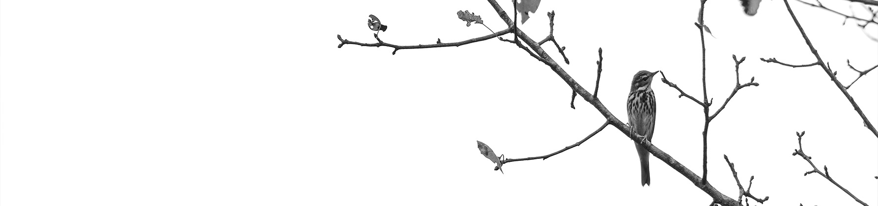 Welcome to Chen Photography